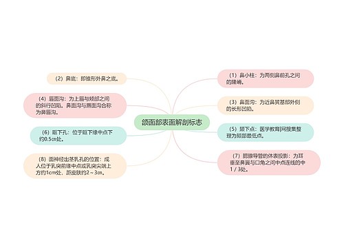 颌面部表面解剖标志