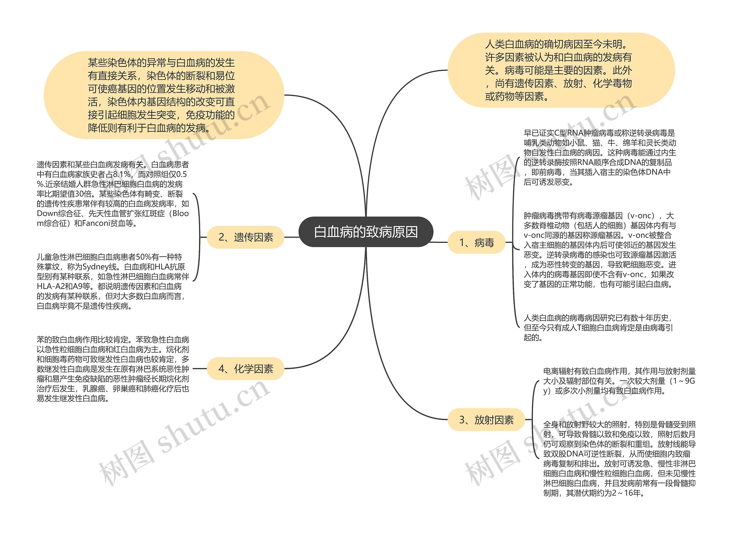 白血病的致病原因思维导图