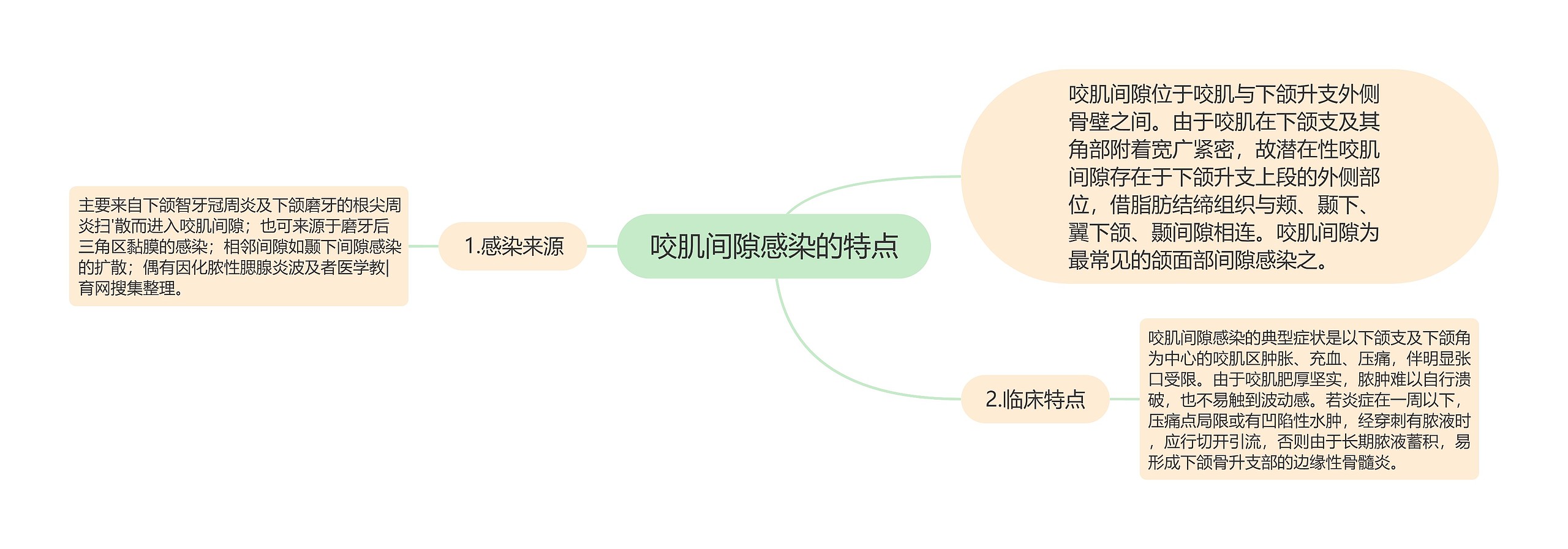 咬肌间隙感染的特点思维导图