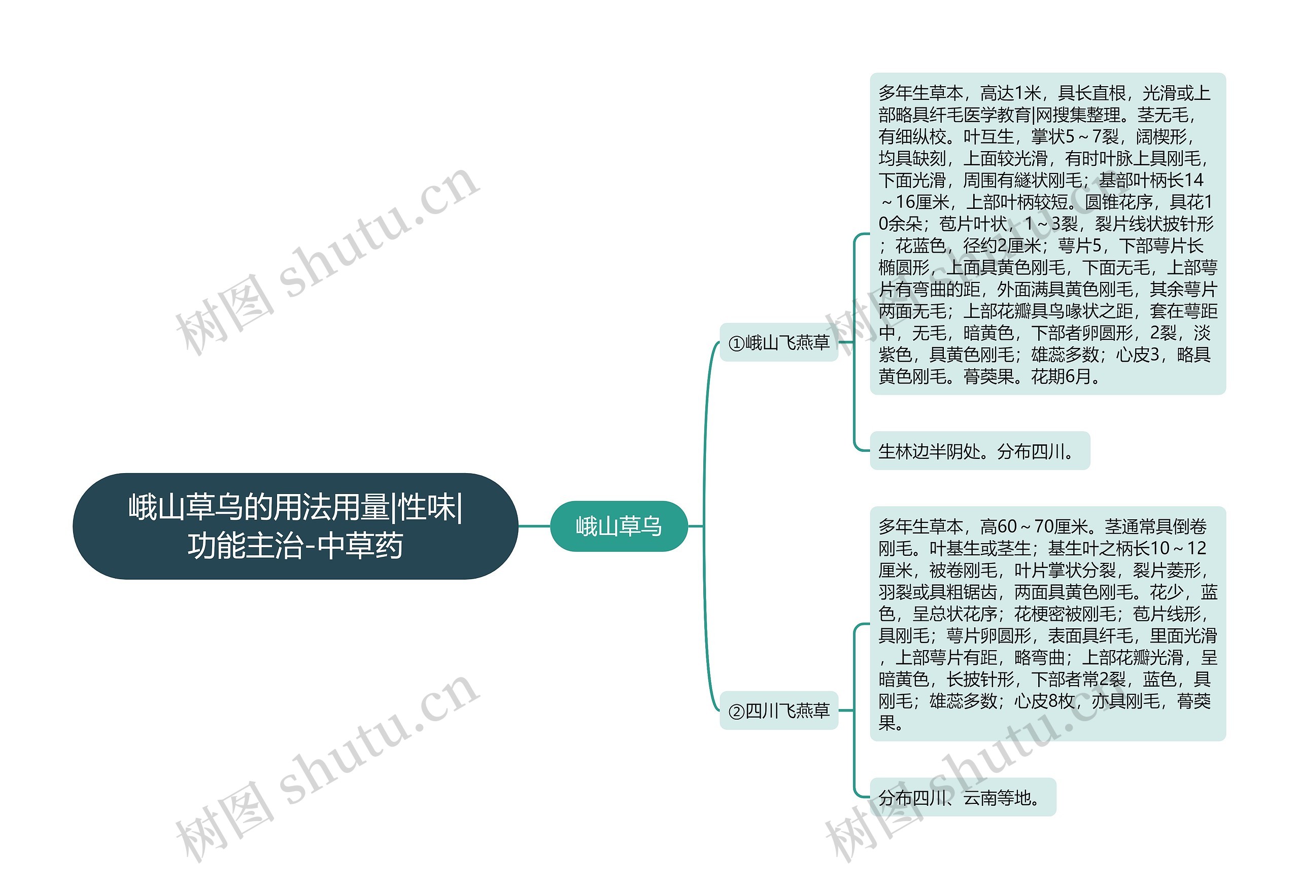 峨山草乌的用法用量|性味|功能主治-中草药思维导图