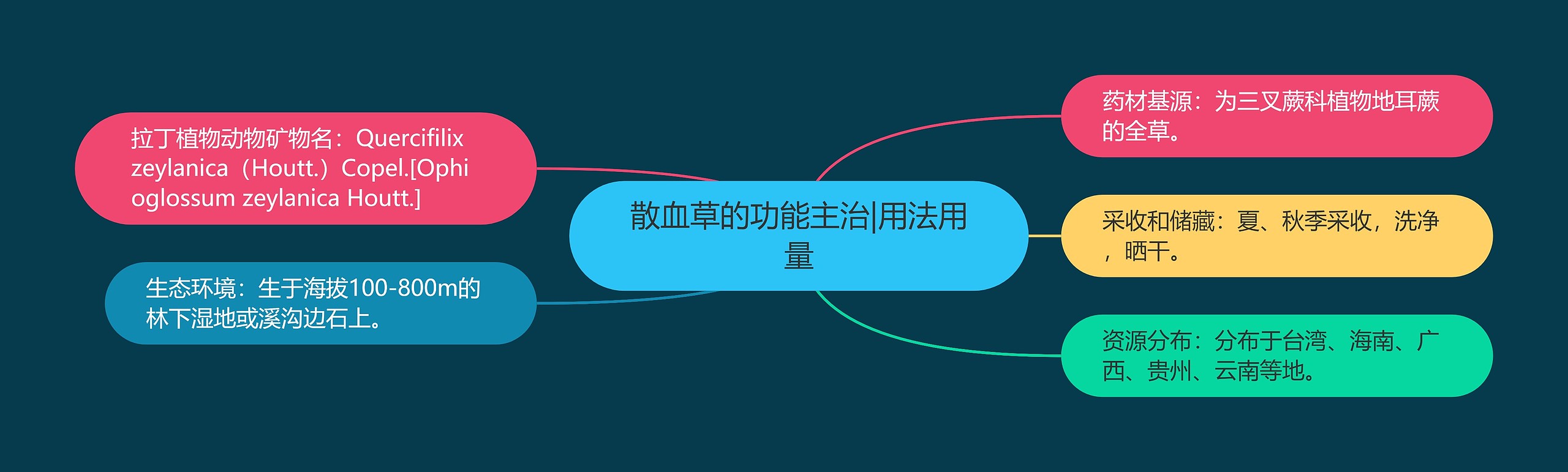 散血草的功能主治|用法用量 散血草的功能主治|用法用量