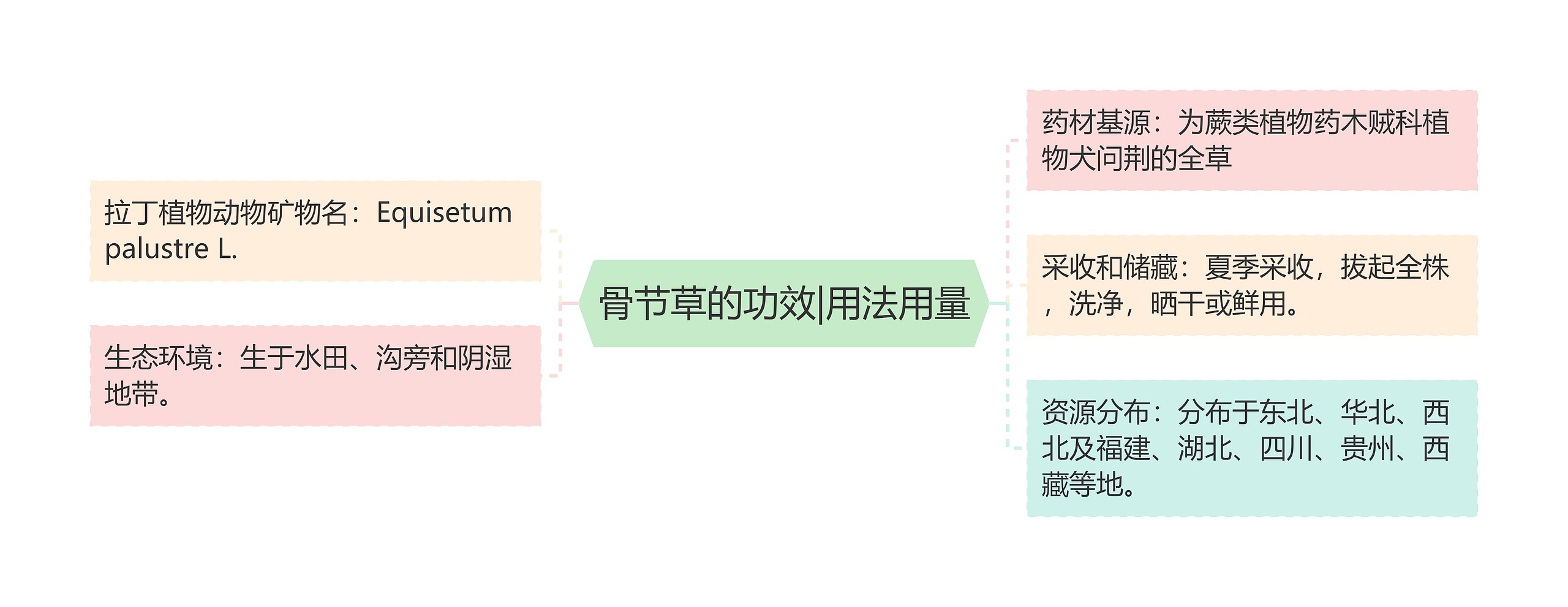 骨节草的功效|用法用量思维导图