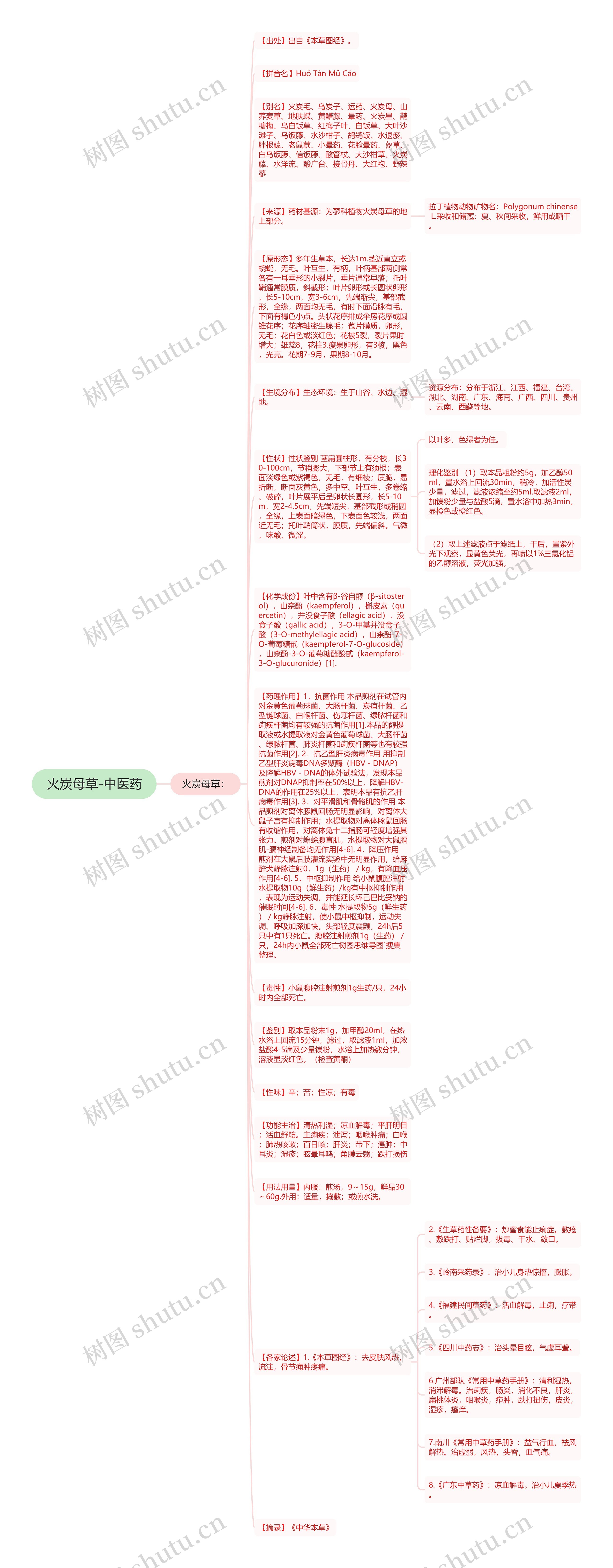 火炭母草-中医药思维导图