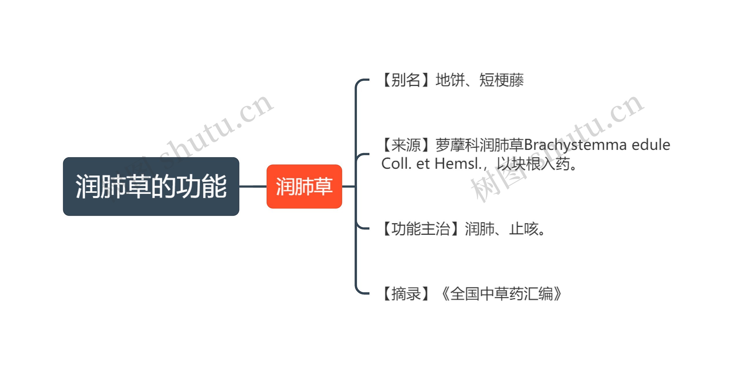 润肺草的功能思维导图