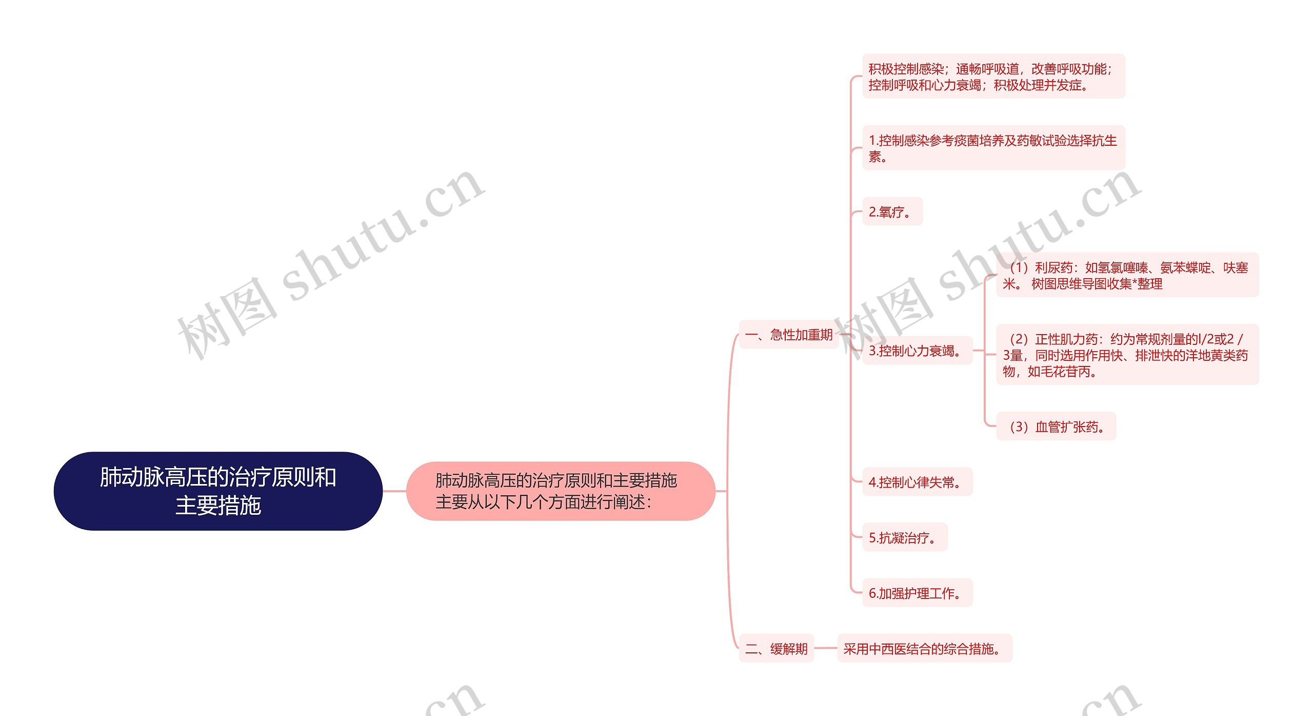 肺动脉高压的治疗原则和主要措施