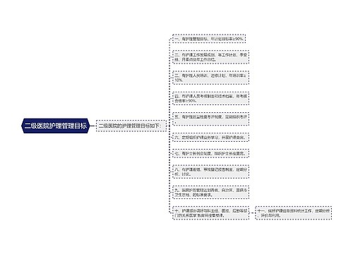 二级医院护理管理目标