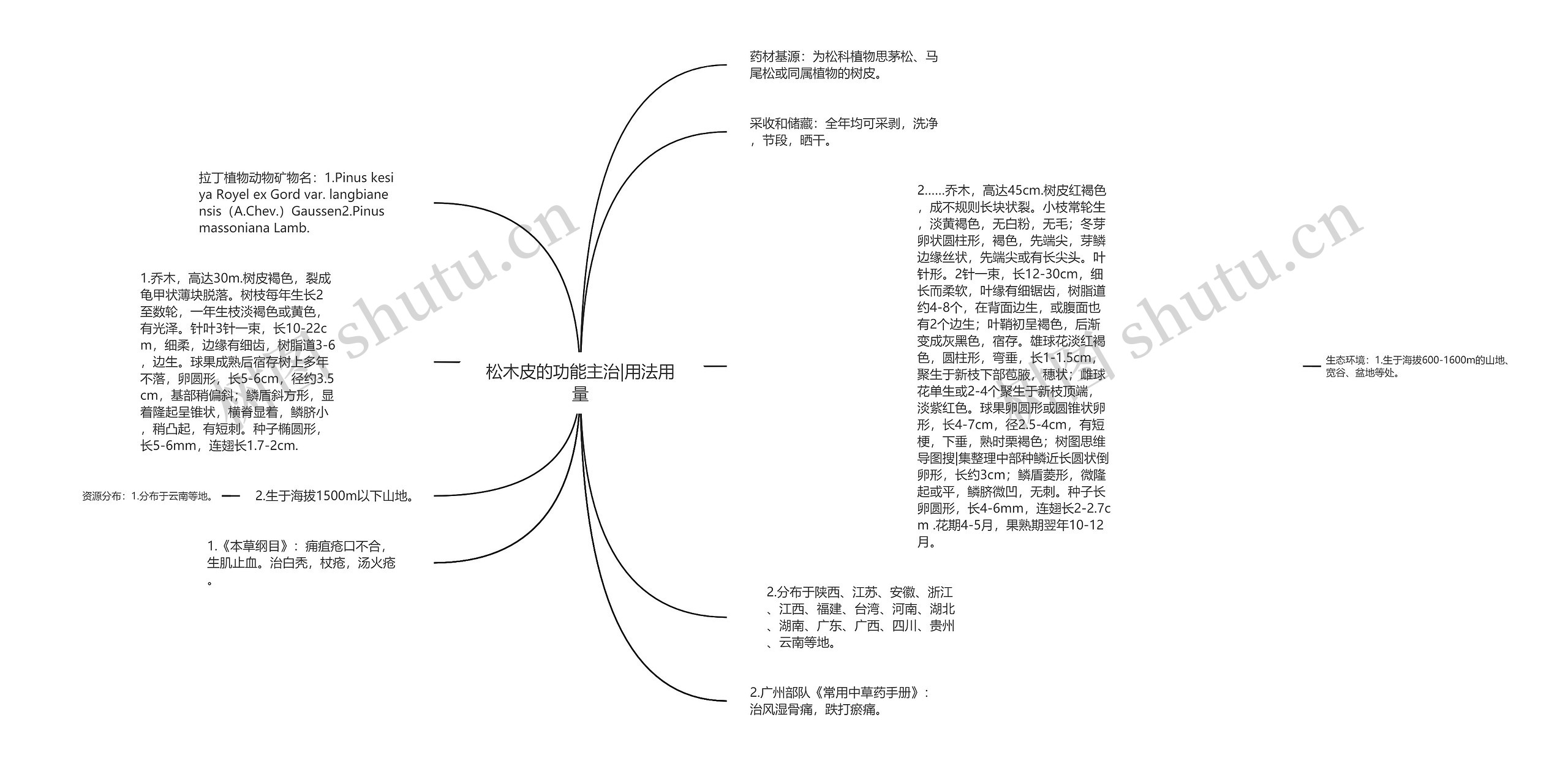 松木皮的功能主治|用法用量思维导图