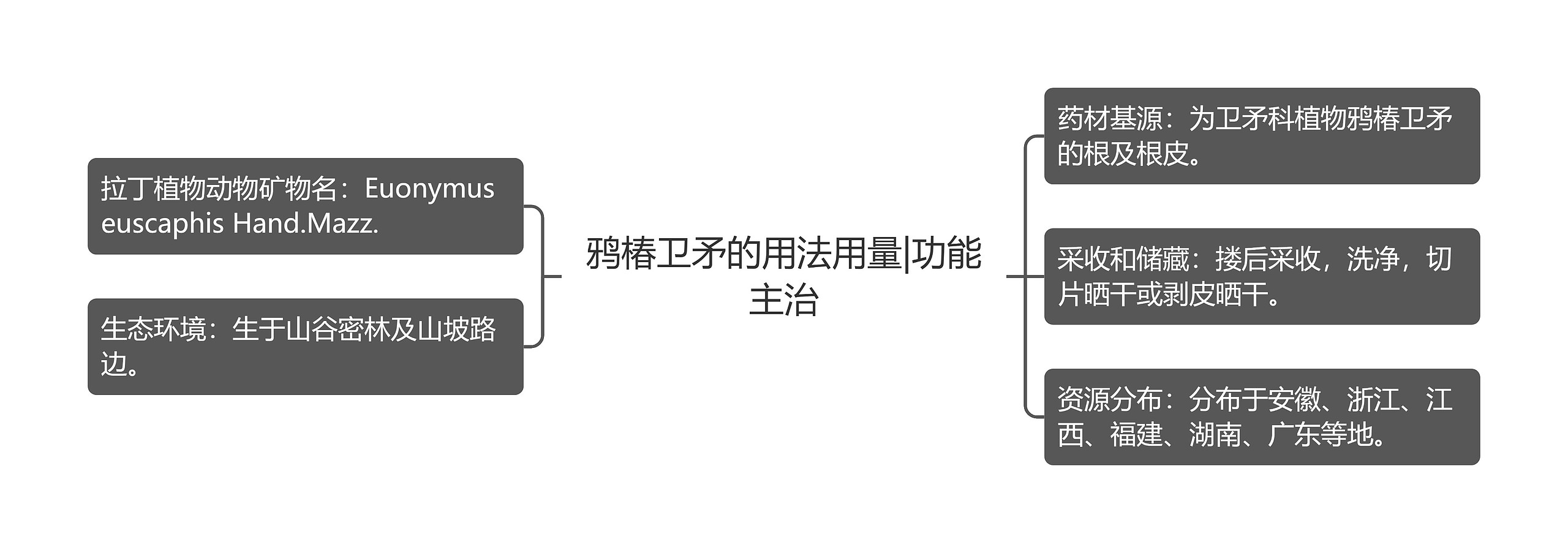 鸦椿卫矛的用法用量|功能主治思维导图