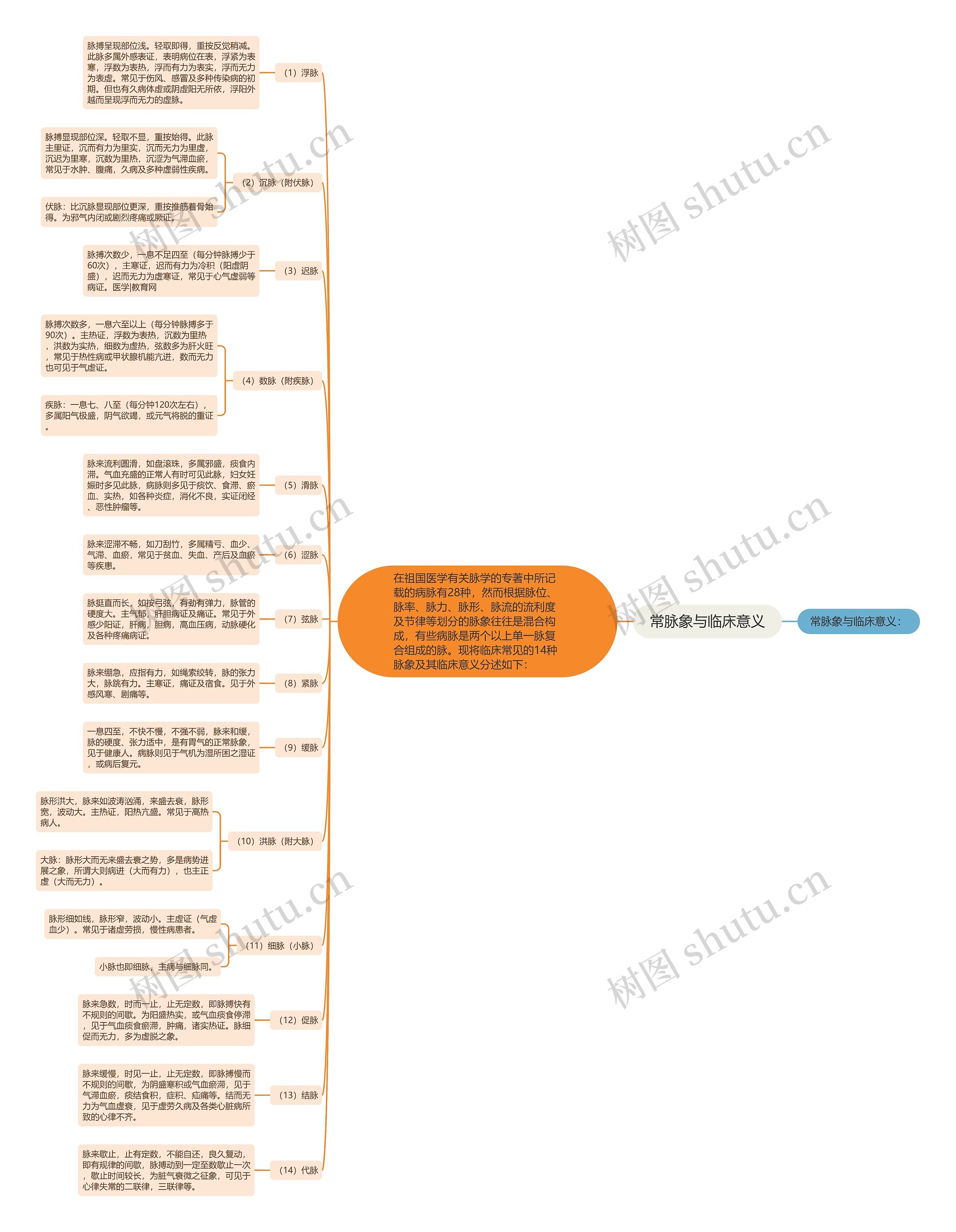 常脉象与临床意义思维导图