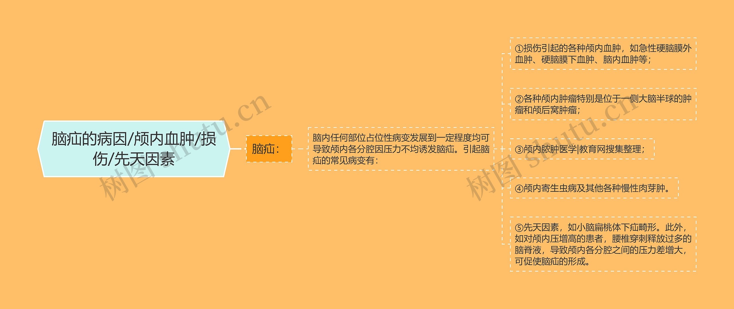 脑疝的病因/颅内血肿/损伤/先天因素