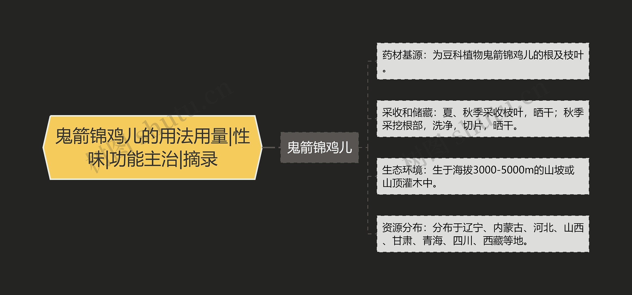 鬼箭锦鸡儿的用法用量|性味|功能主治|摘录思维导图