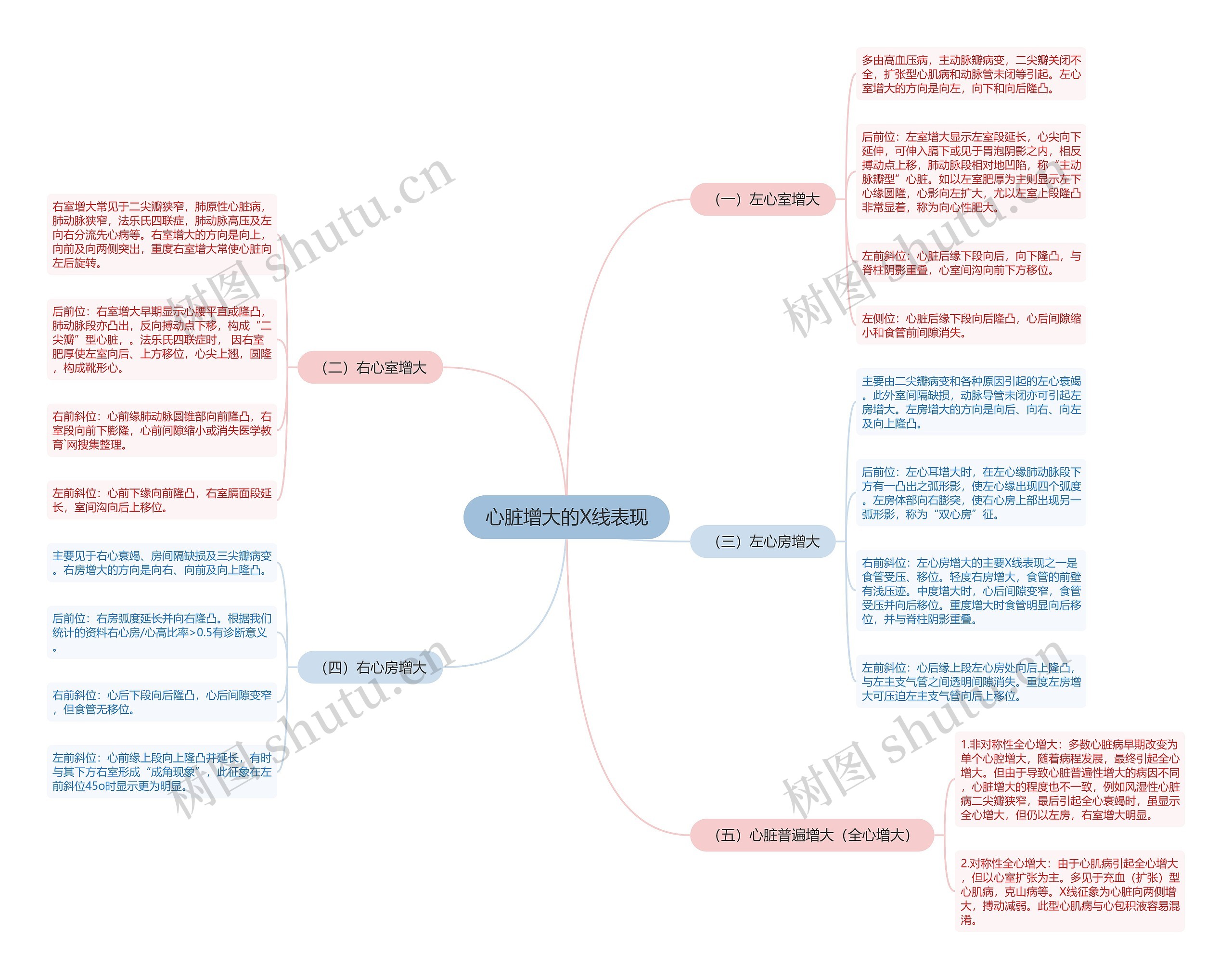 心脏增大的X线表现思维导图