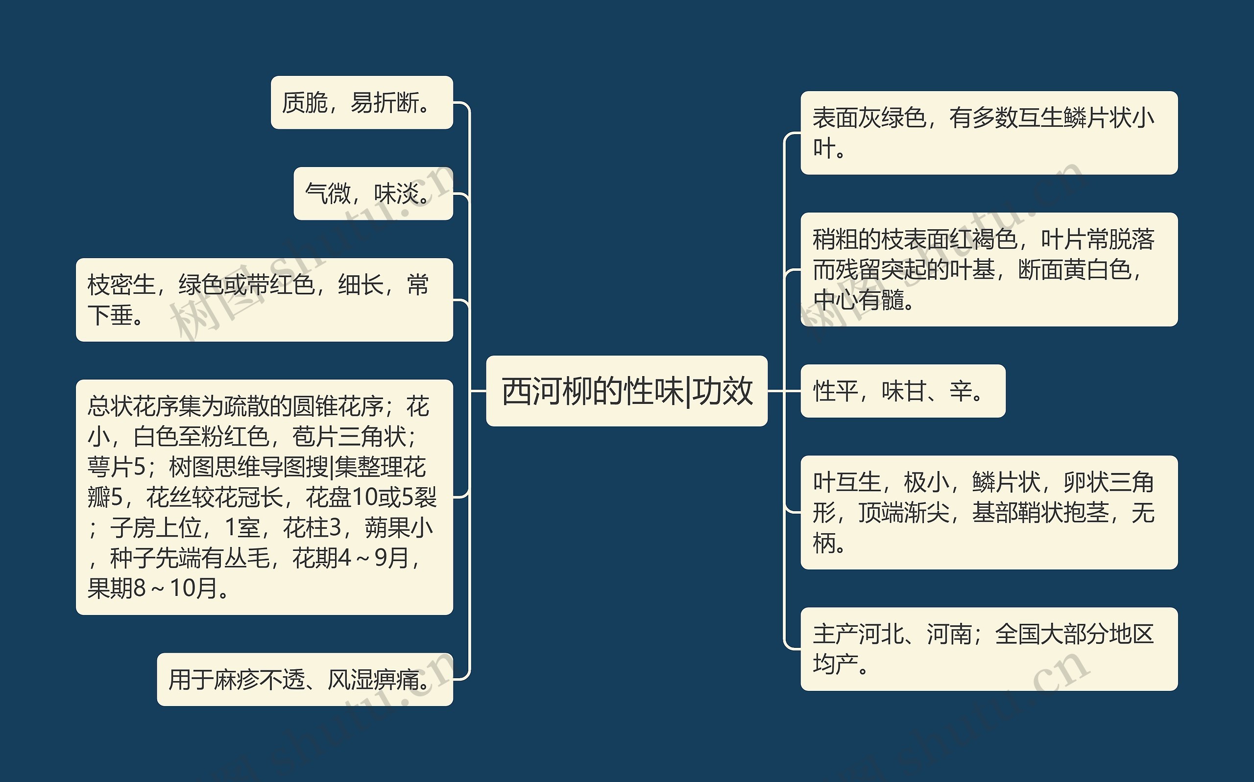 西河柳的性味|功效