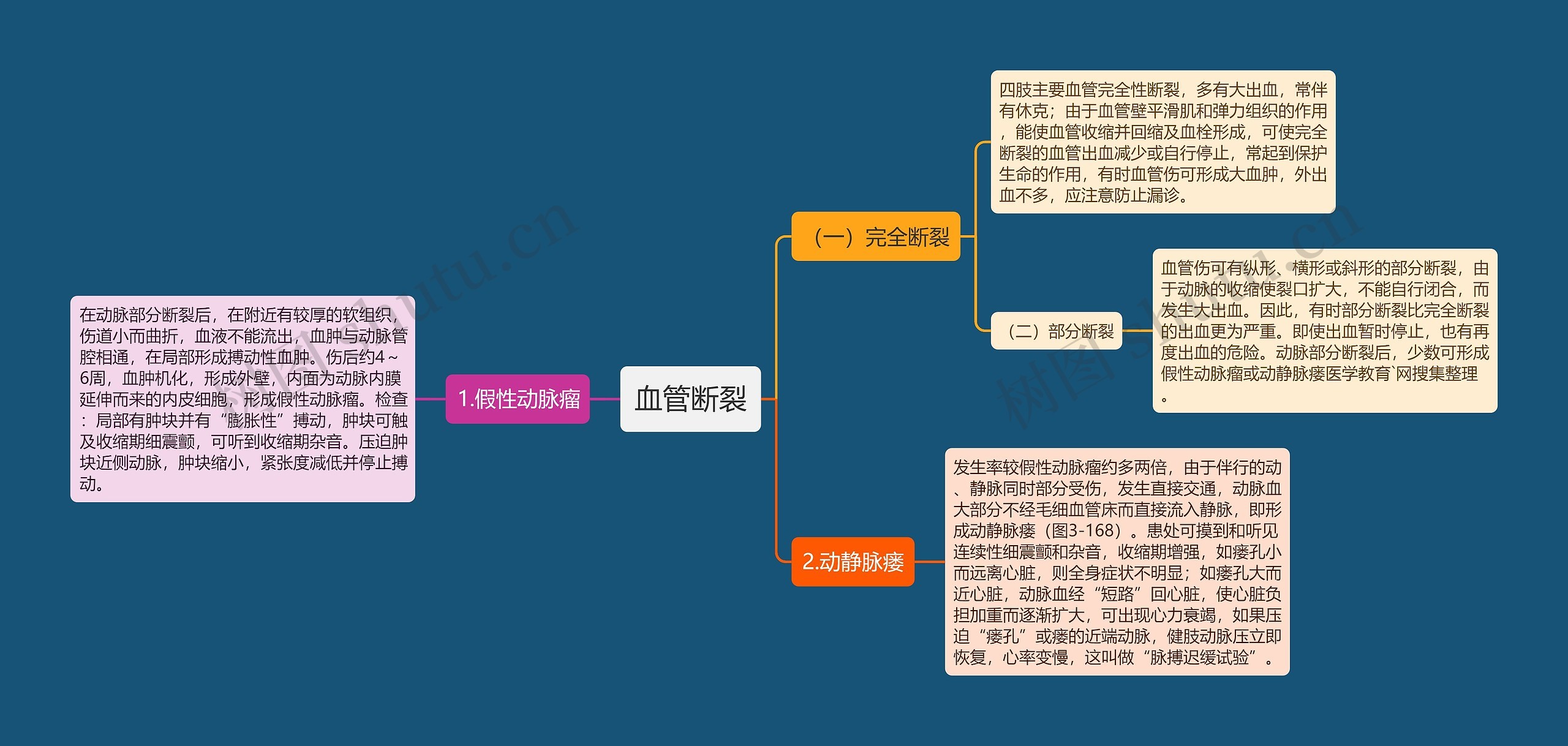 血管断裂思维导图