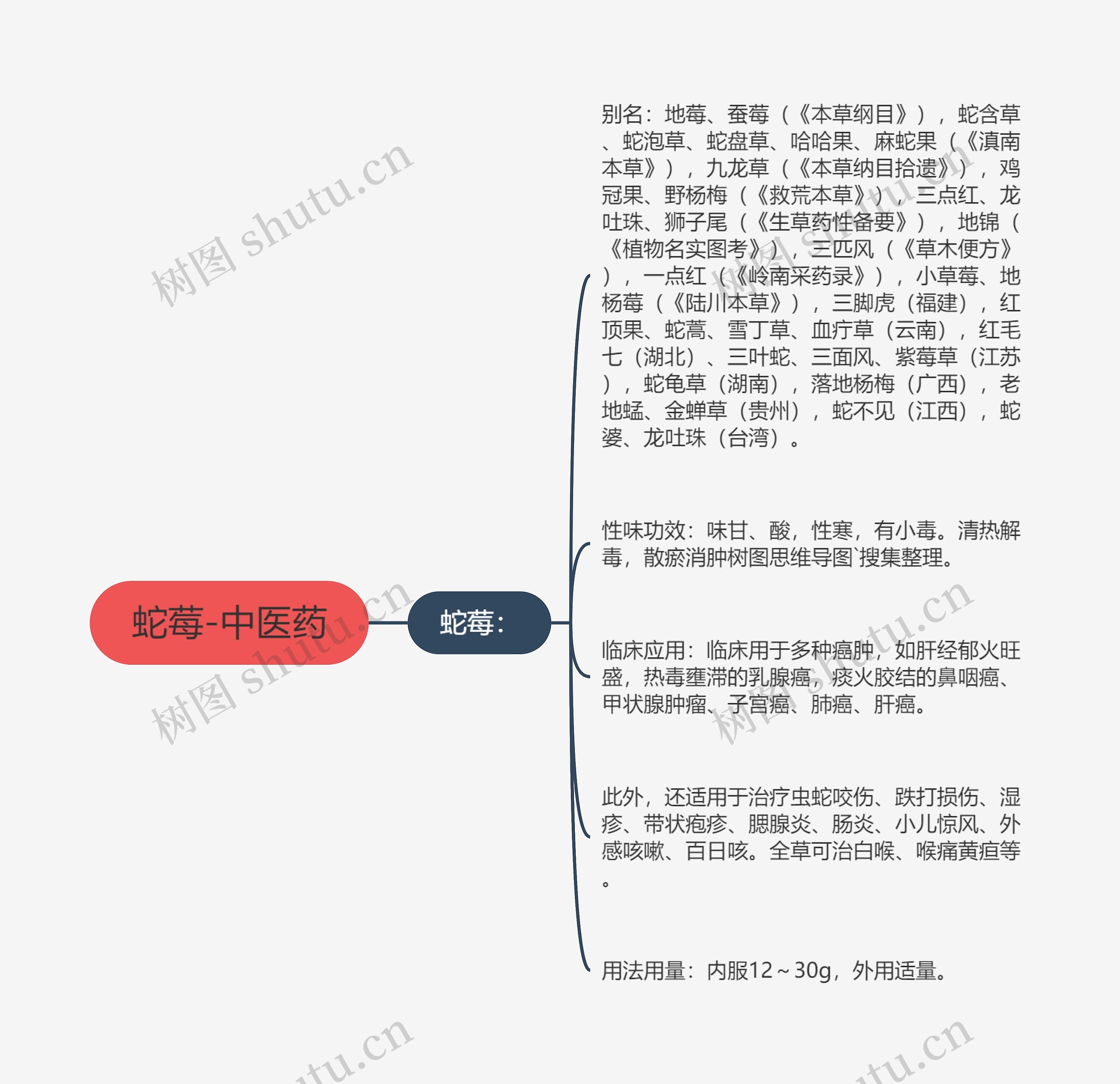 蛇莓-中医药思维导图