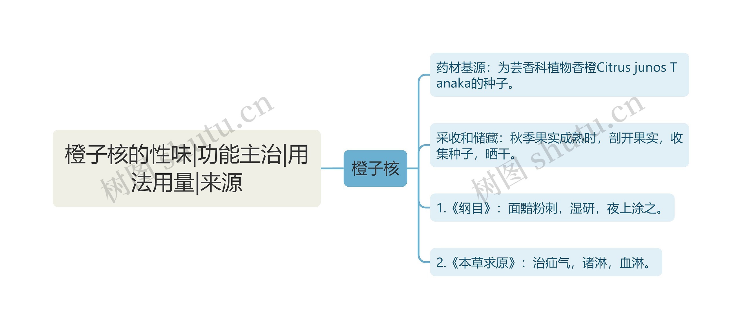 橙子核的性味|功能主治|用法用量|来源思维导图