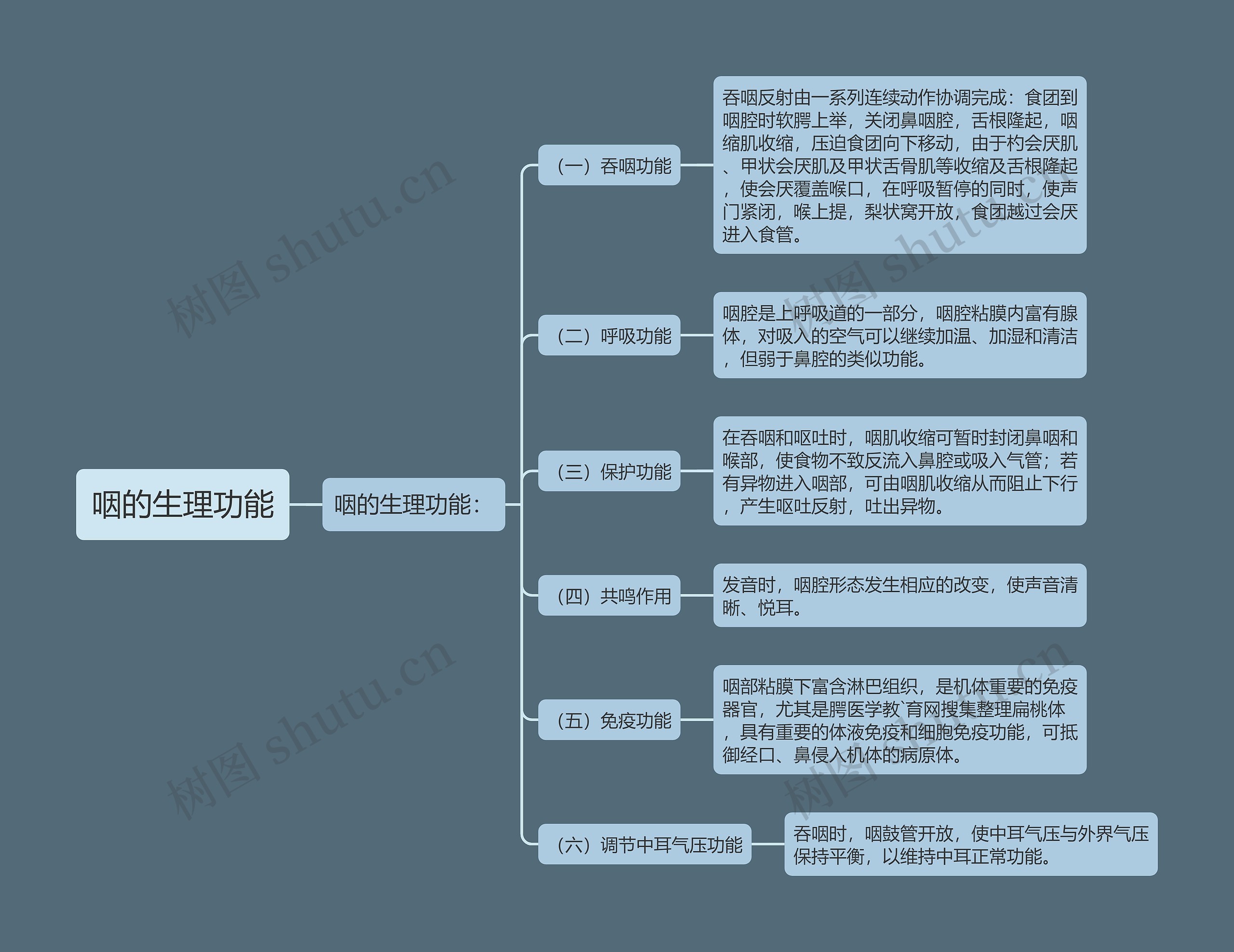 咽的生理功能思维导图