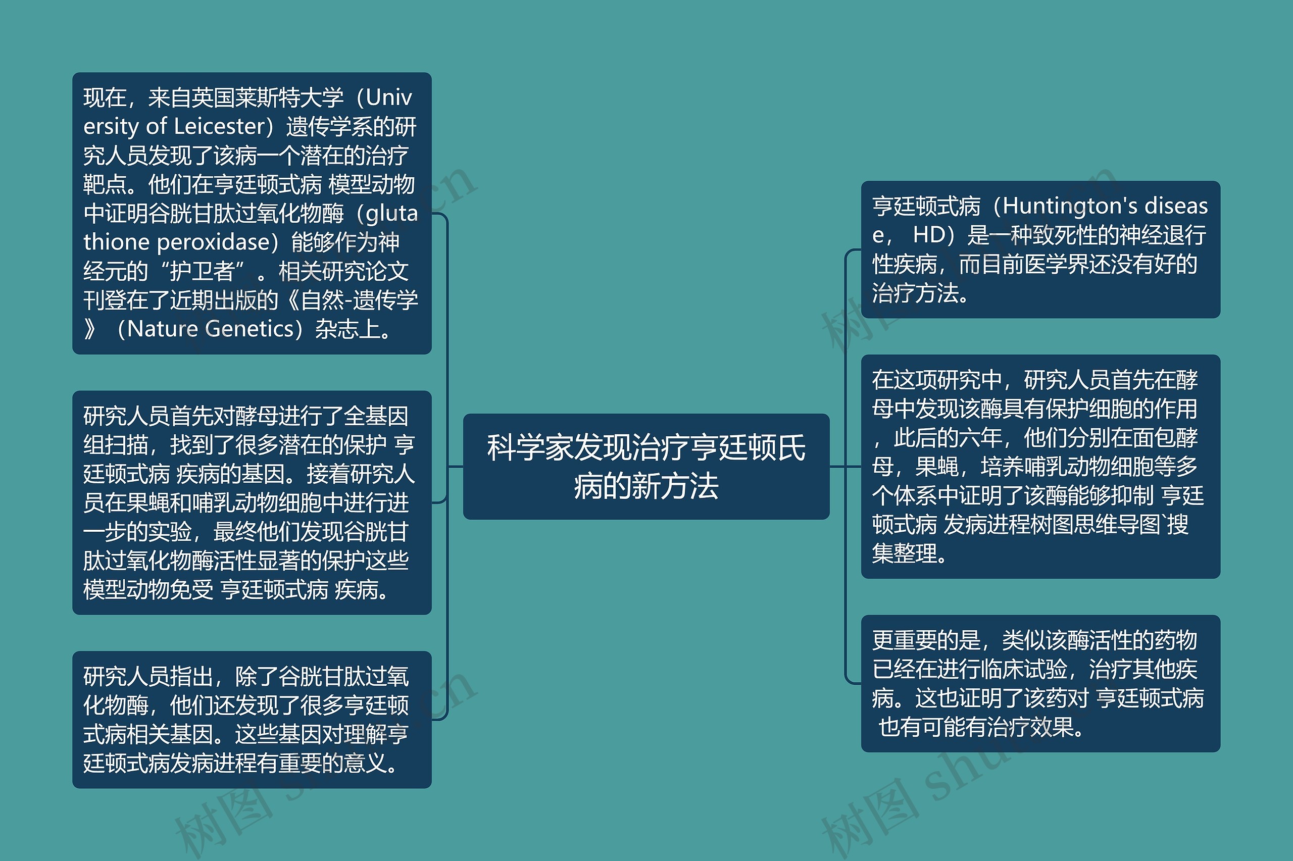 科学家发现治疗亨廷顿氏病的新方法思维导图