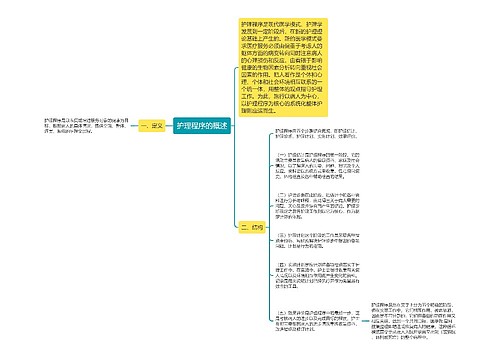 护理程序的概述