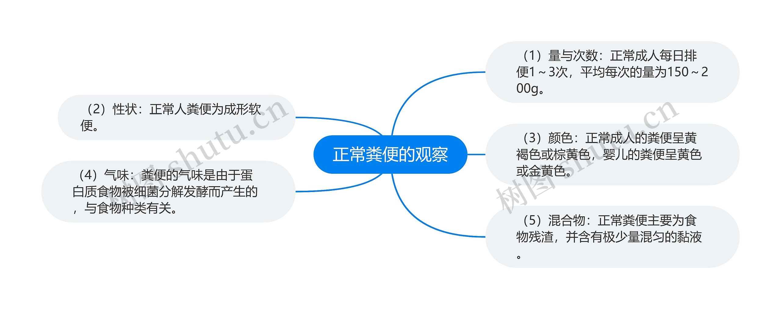 正常粪便的观察