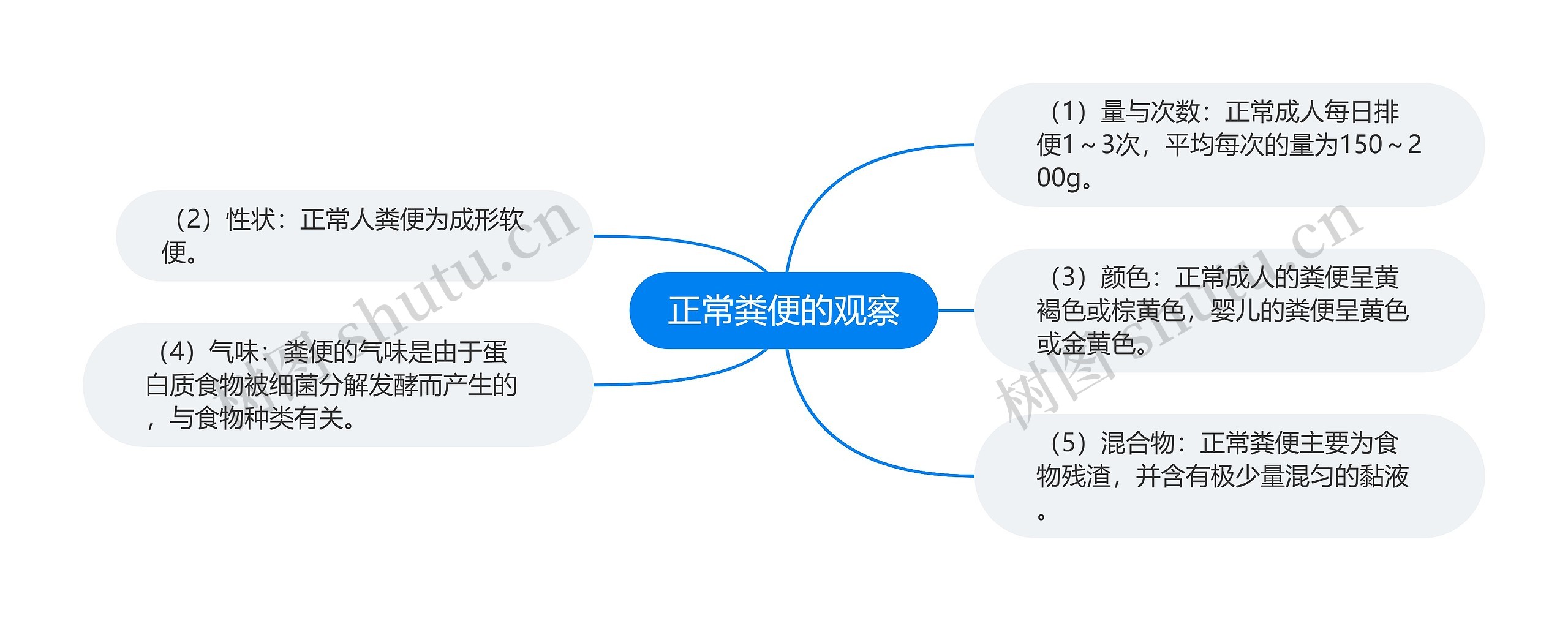 正常粪便的观察思维导图