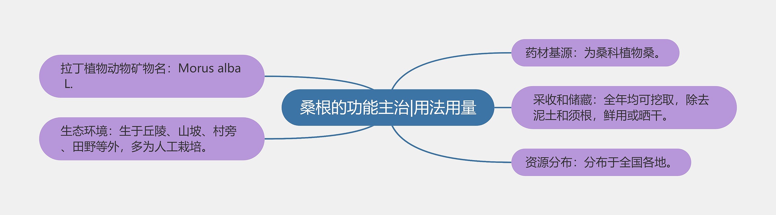 桑根的功能主治|用法用量