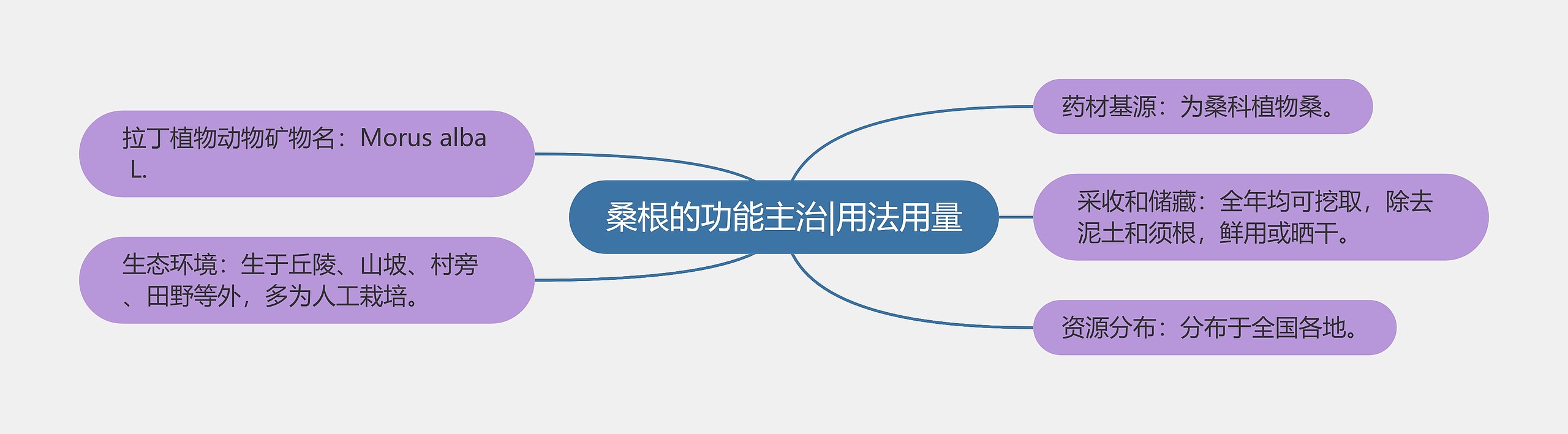 桑根的功能主治|用法用量思维导图