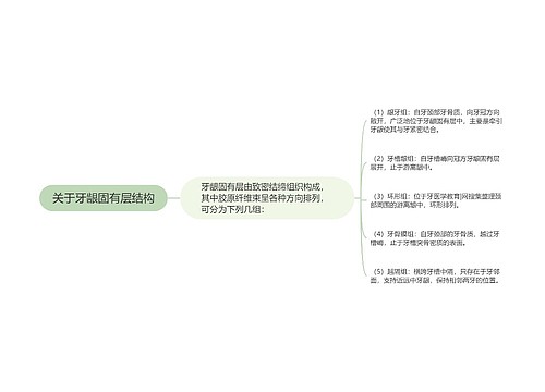 关于牙龈固有层结构