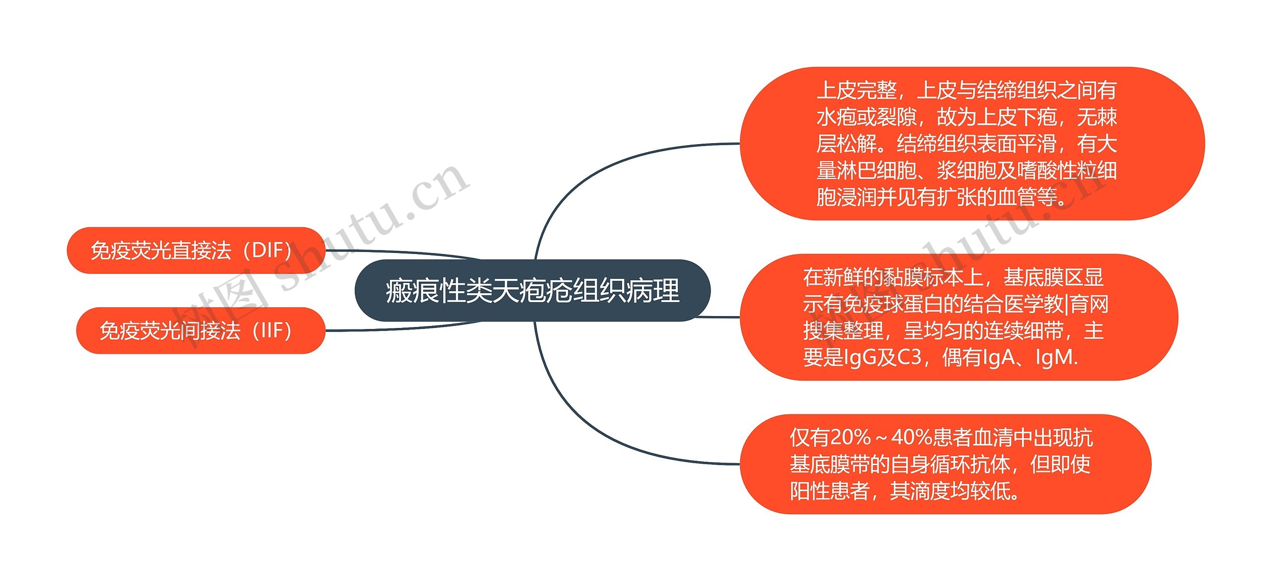 瘢痕性类天疱疮组织病理思维导图