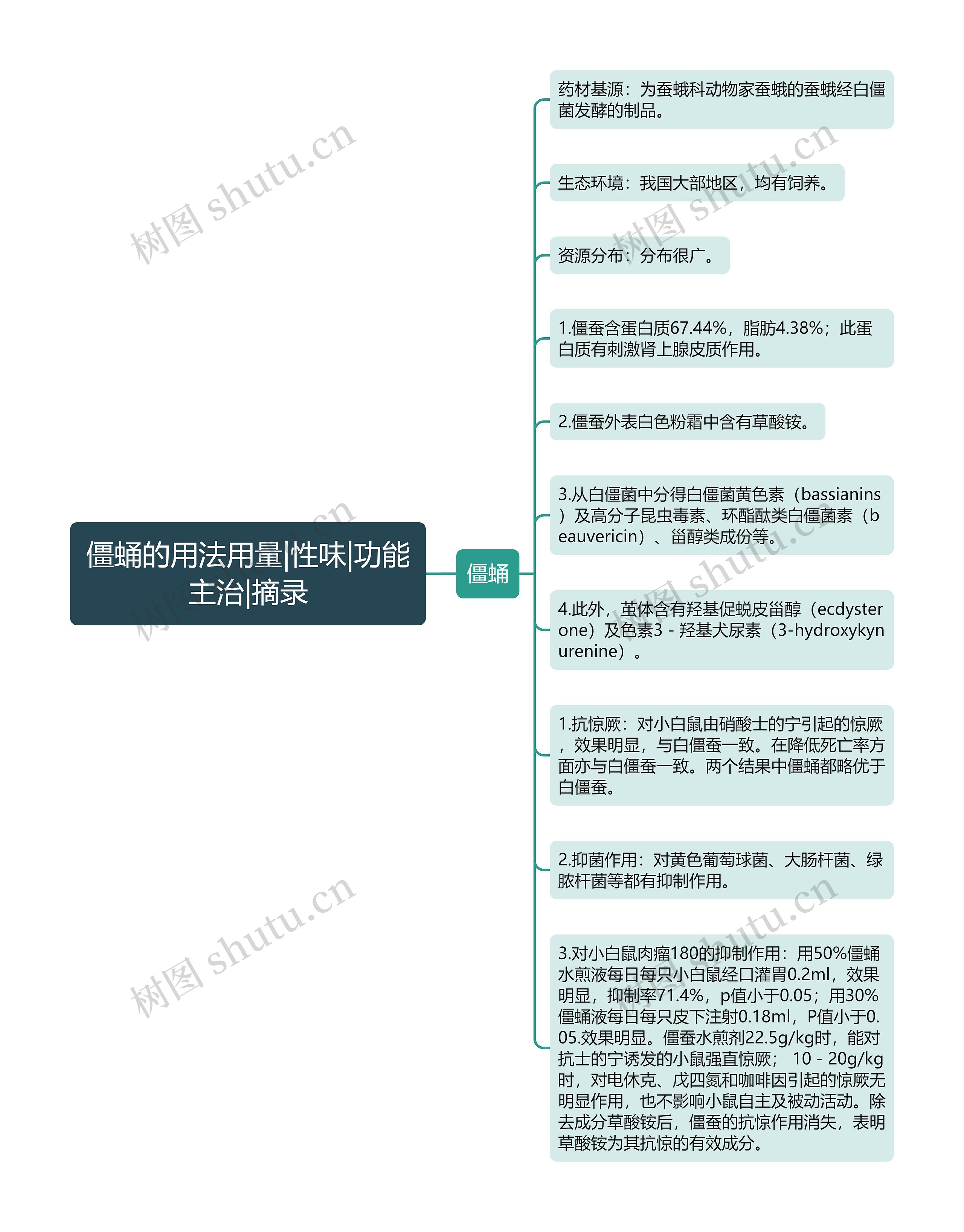 僵蛹的用法用量|性味|功能主治|摘录思维导图