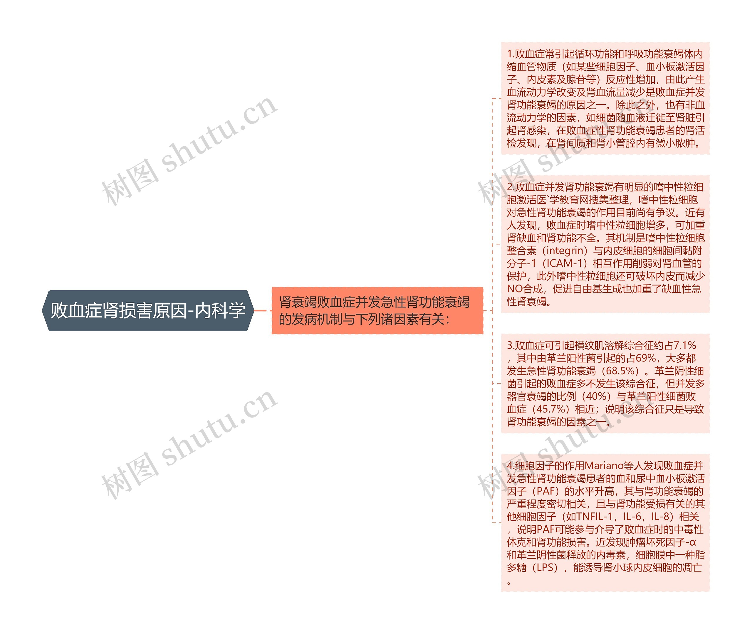 败血症肾损害原因-内科学