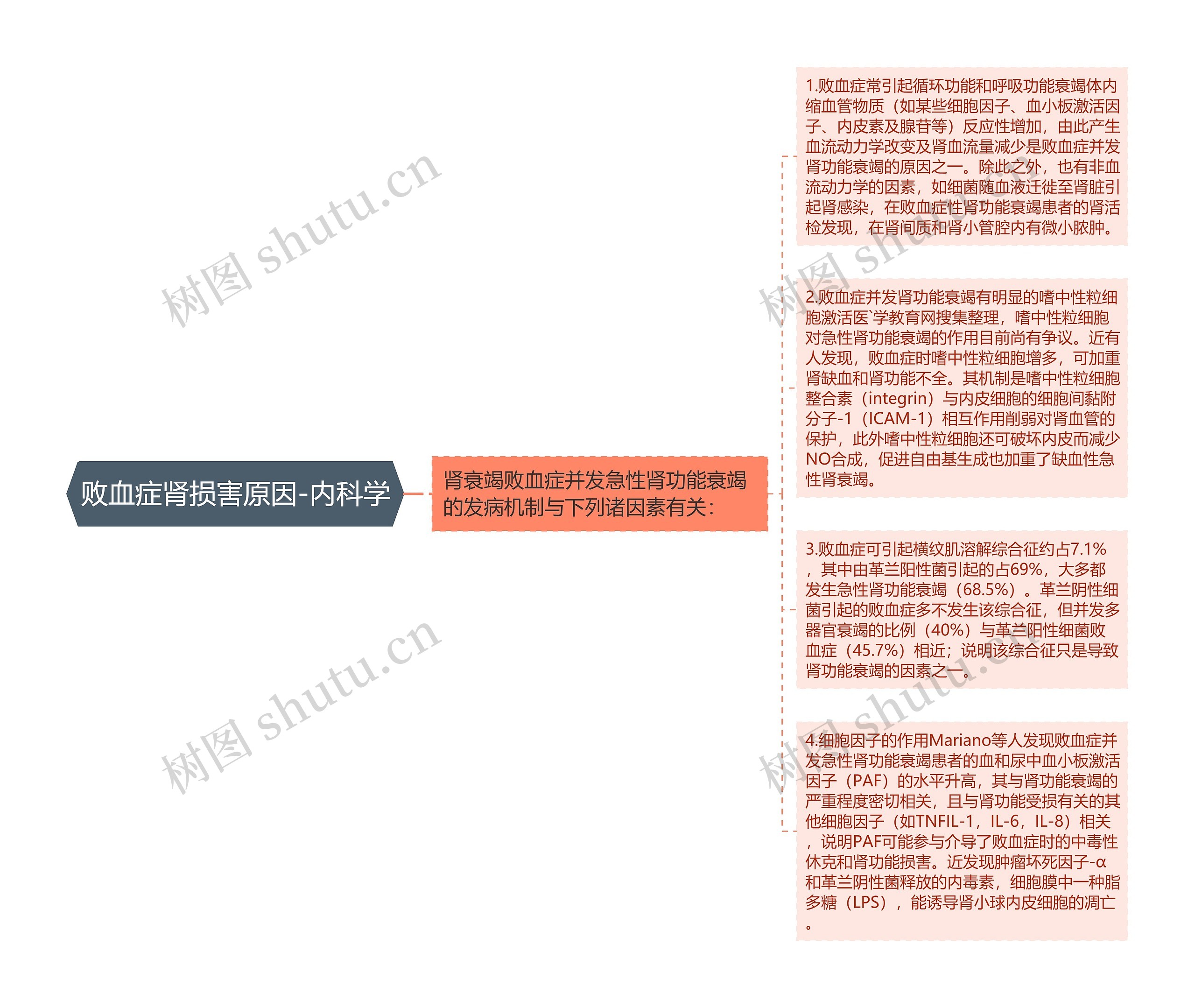 败血症肾损害原因-内科学思维导图