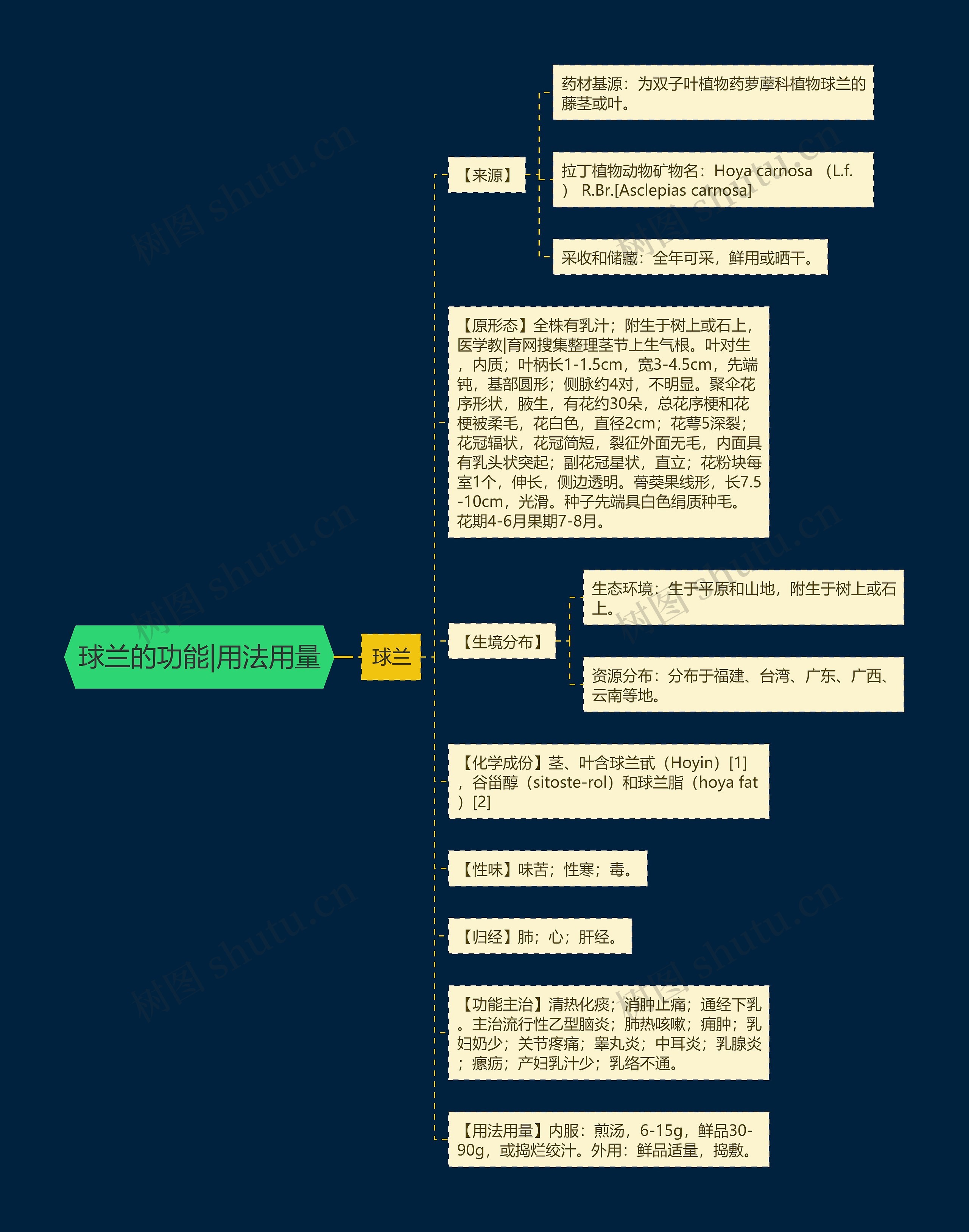 球兰的功能|用法用量思维导图