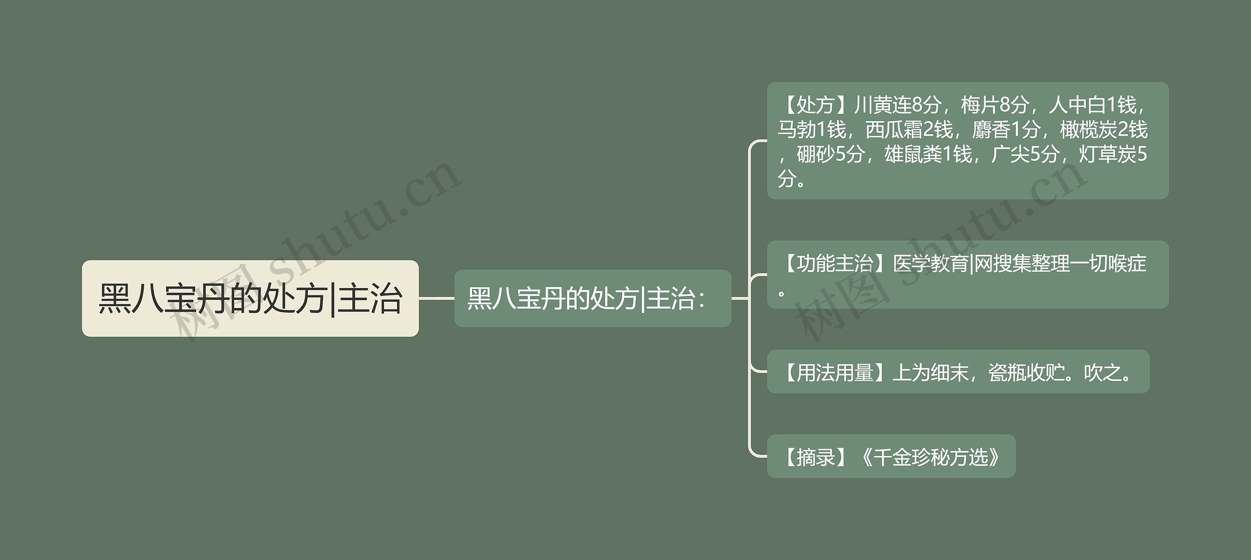 黑八宝丹的处方|主治思维导图
