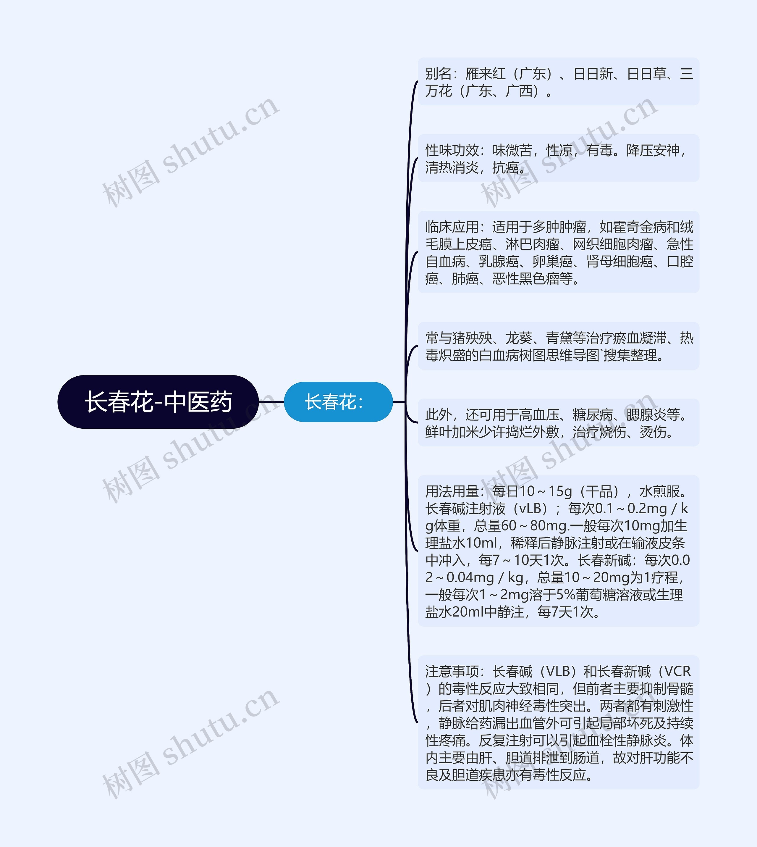 长春花-中医药 长春花-中医药