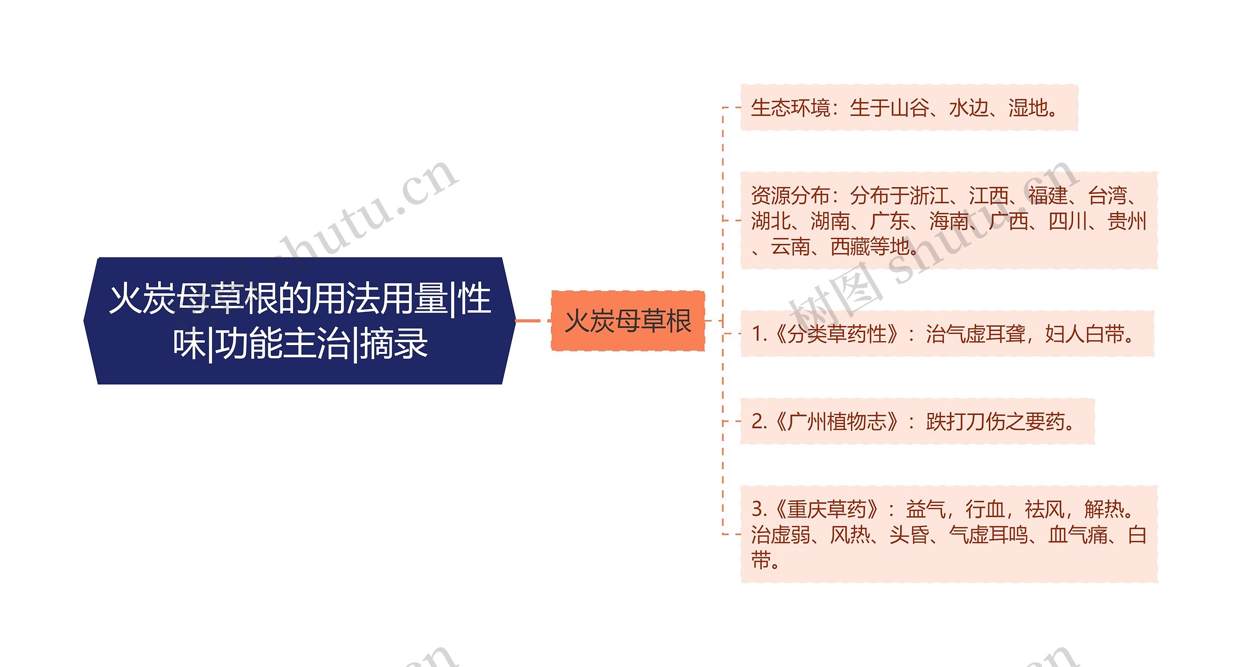 火炭母草根的用法用量|性味|功能主治|摘录思维导图