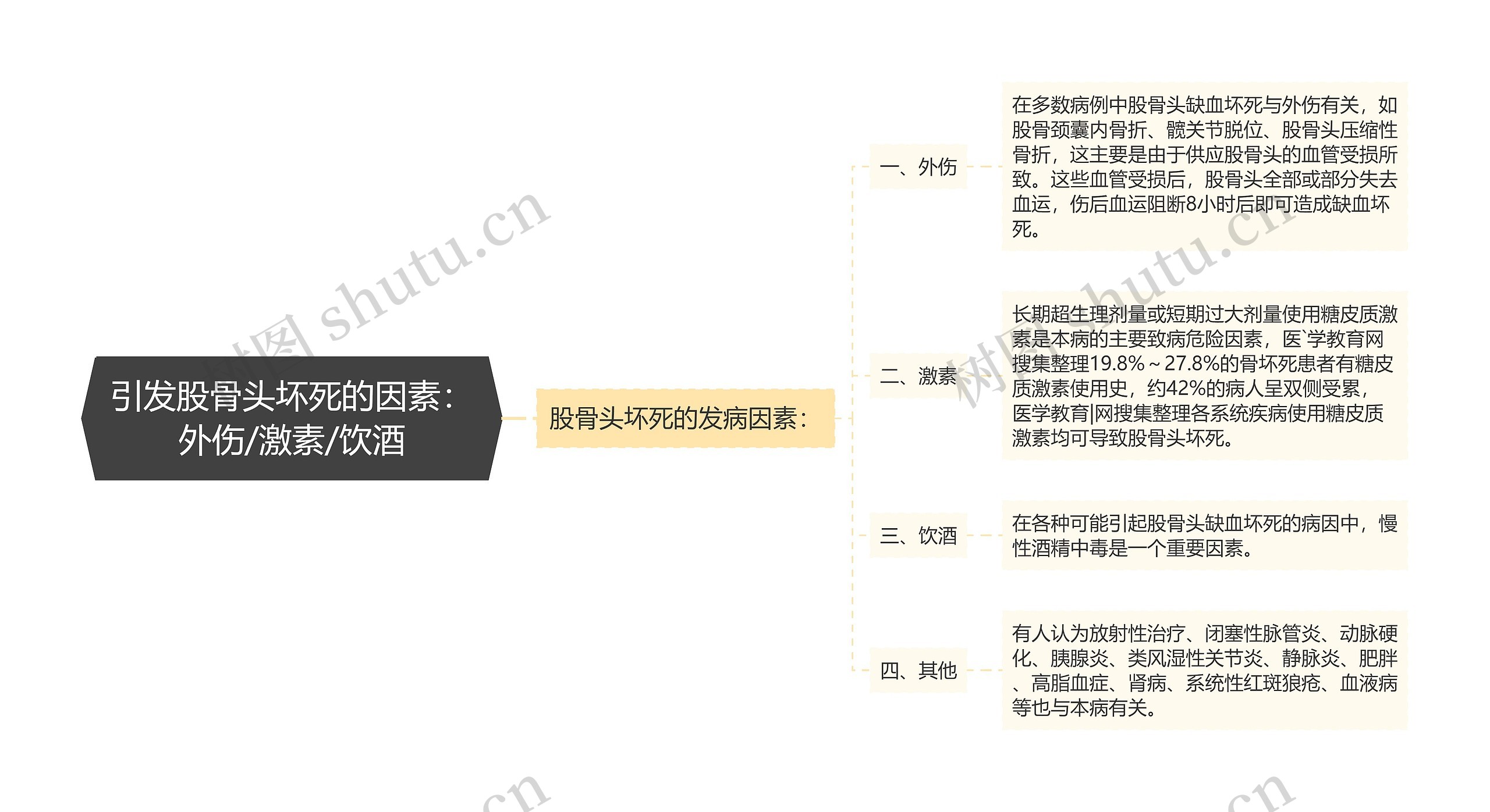 引发股骨头坏死的因素：外伤/激素/饮酒思维导图