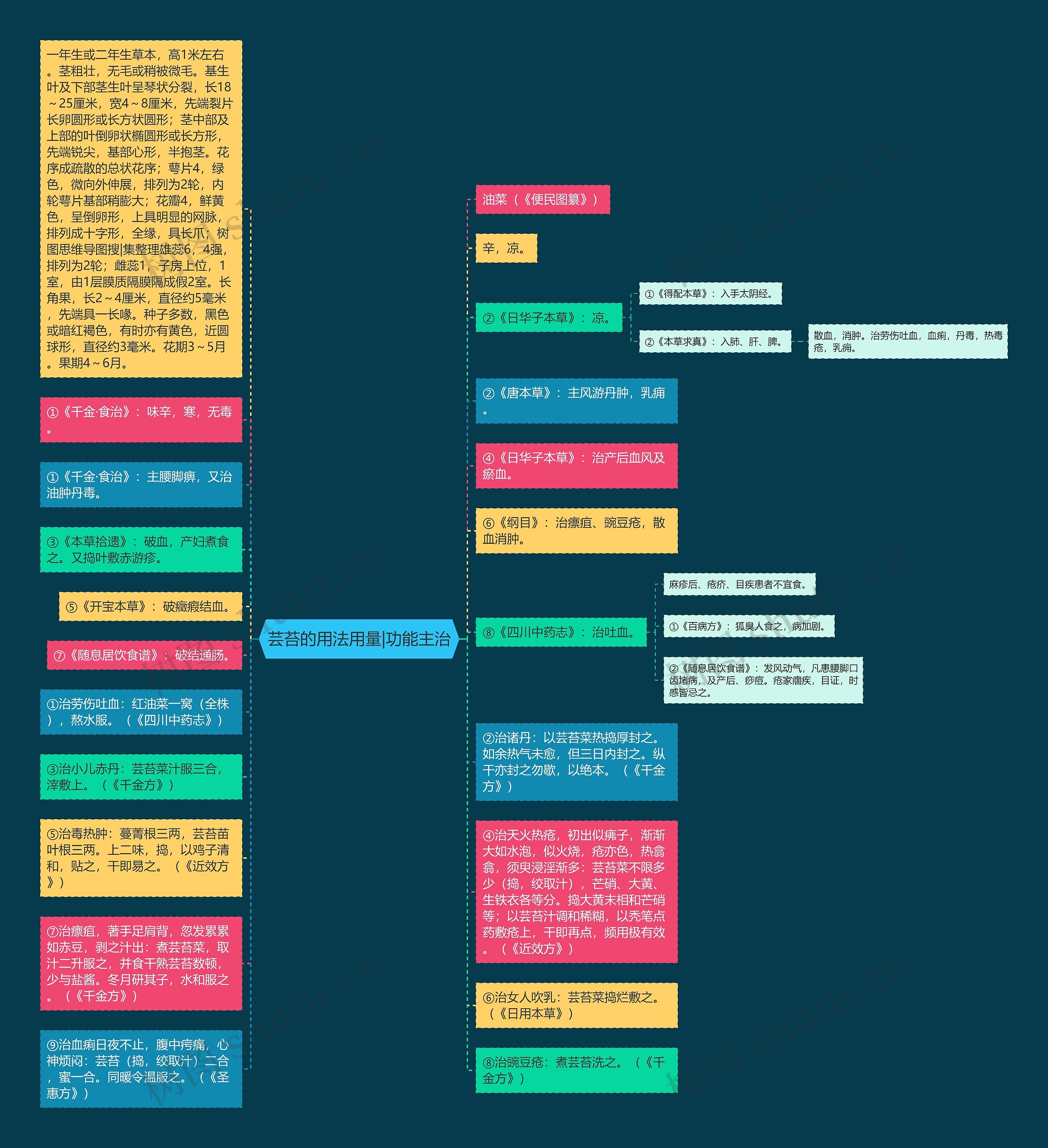 芸苔的用法用量|功能主治思维导图