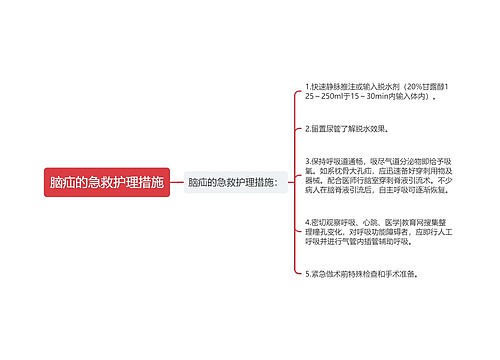 脑疝的急救护理措施