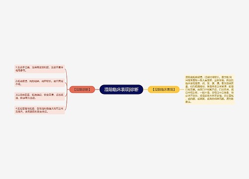 湿阻临床表现|诊断