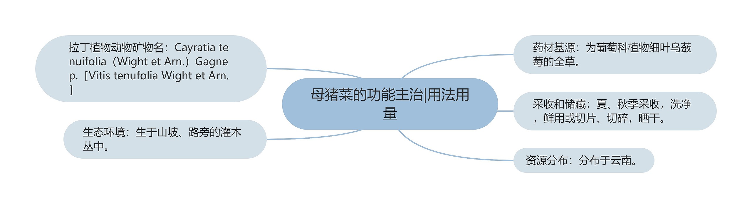 母猪菜的功能主治|用法用量