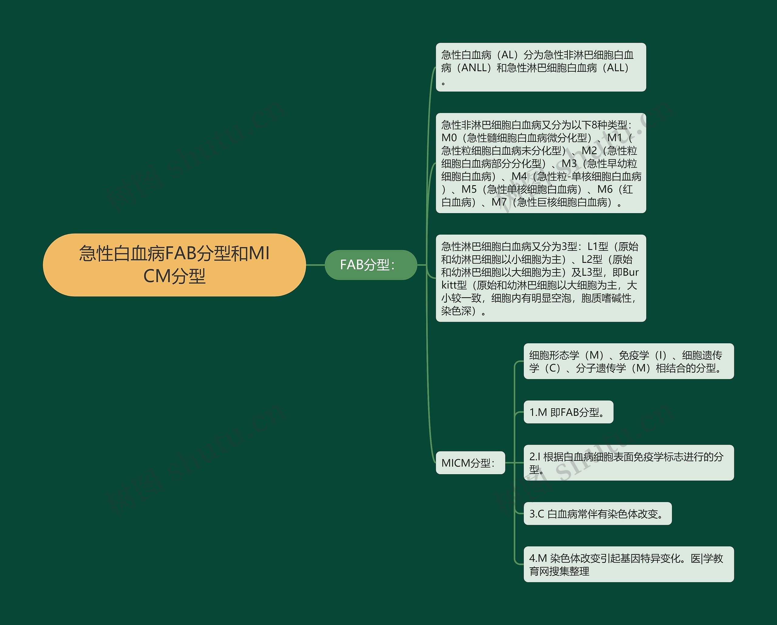 急性白血病FAB分型和MICM分型