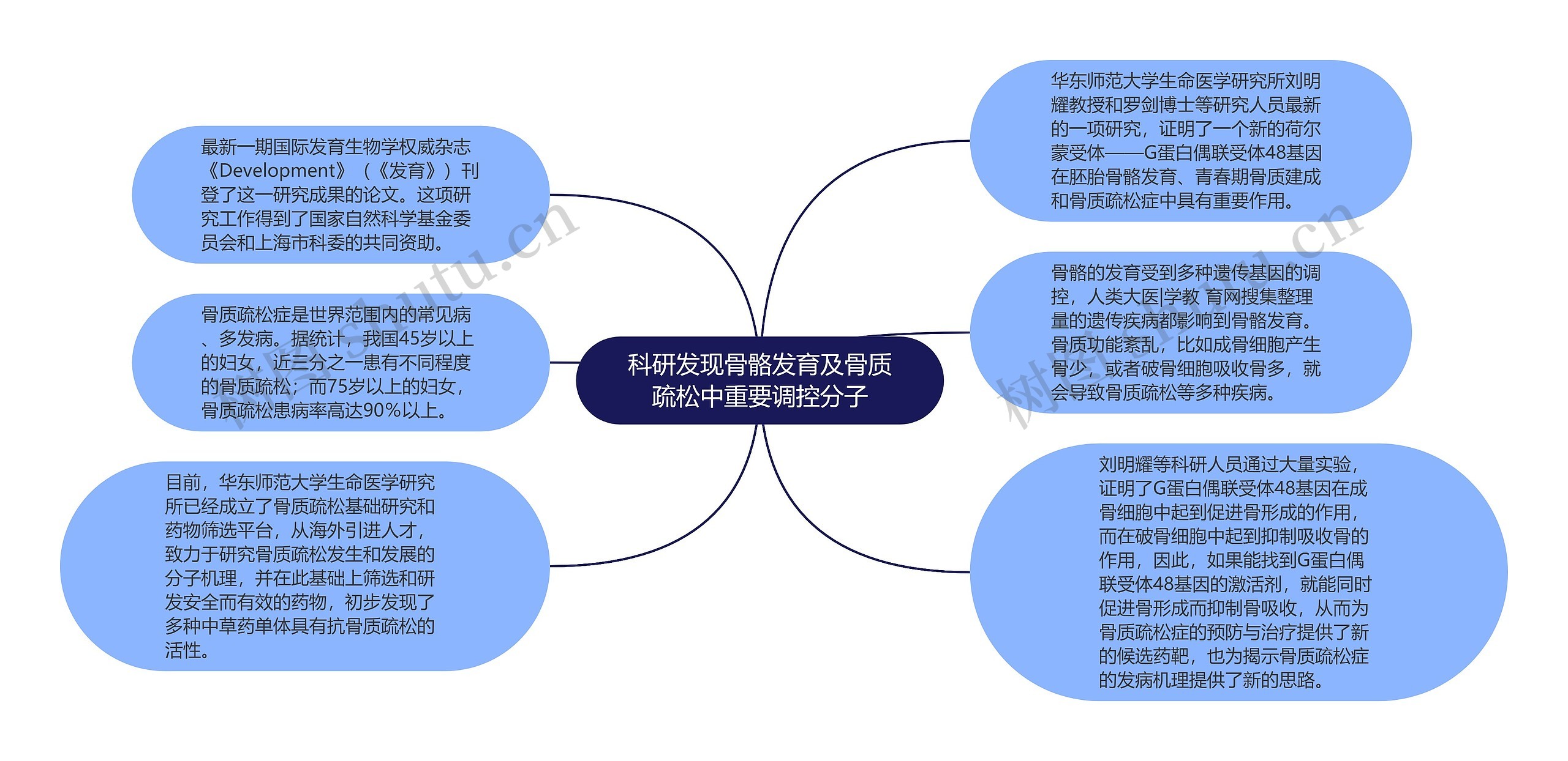 科研发现骨骼发育及骨质疏松中重要调控分子思维导图