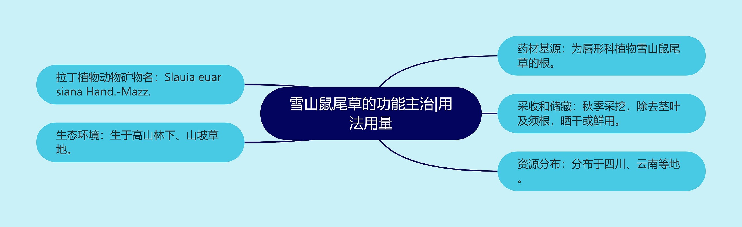 雪山鼠尾草的功能主治|用法用量 雪山鼠尾草的功能主治|用法用量