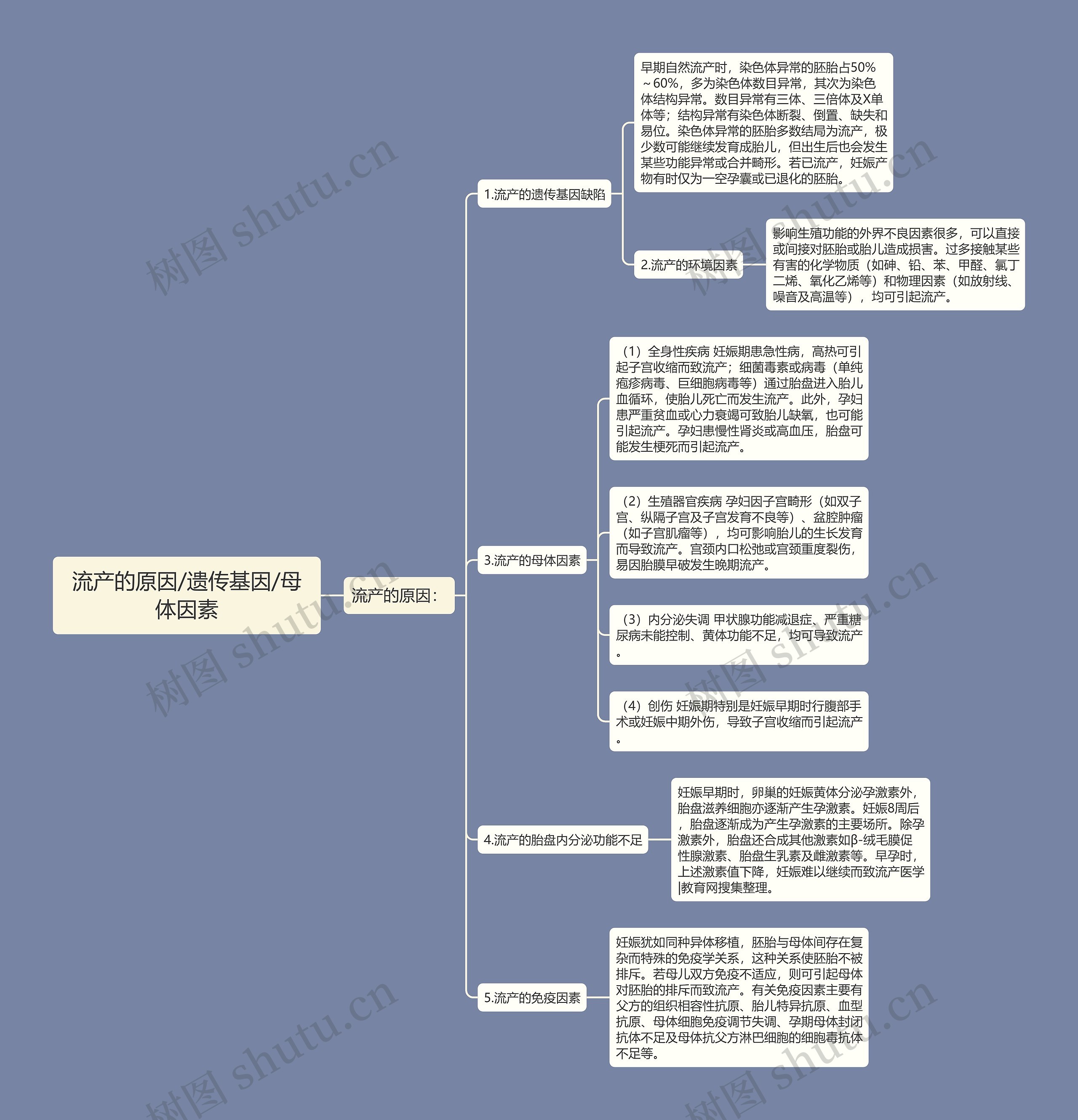 流产的原因/遗传基因/母体因素思维导图