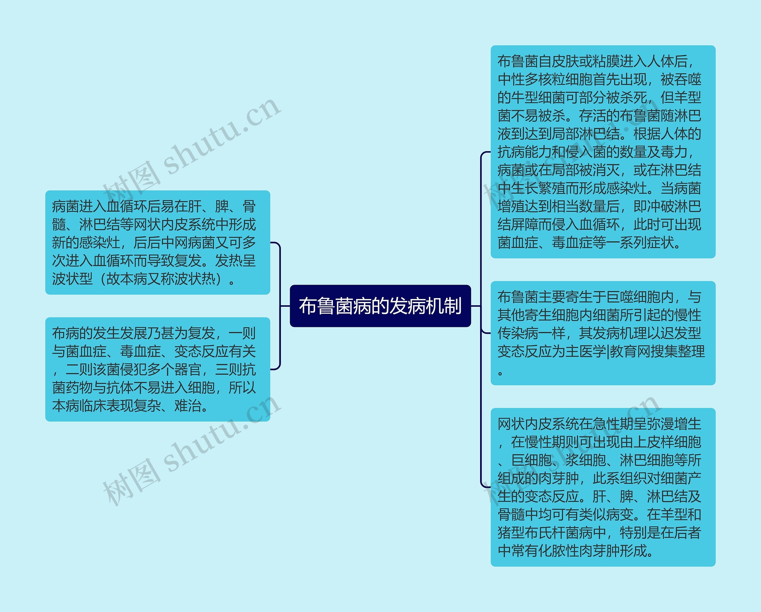 布鲁菌病的发病机制思维导图