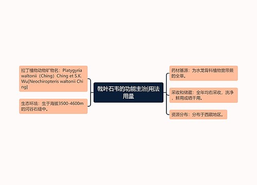 戟叶石韦的功能主治|用法用量