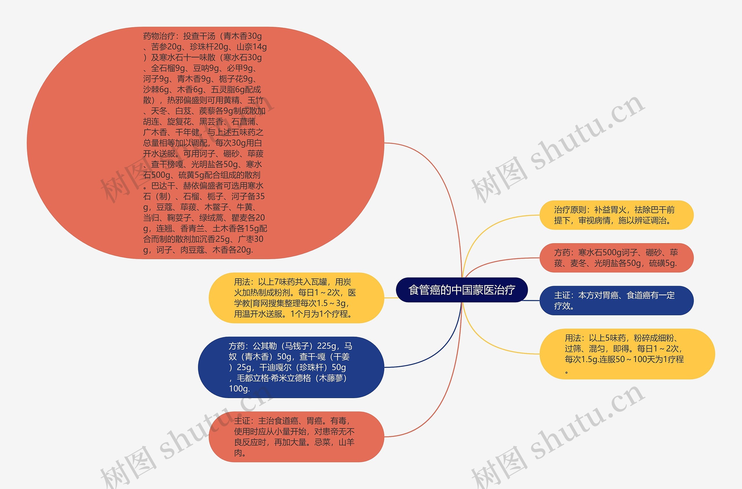 食管癌的中国蒙医治疗思维导图