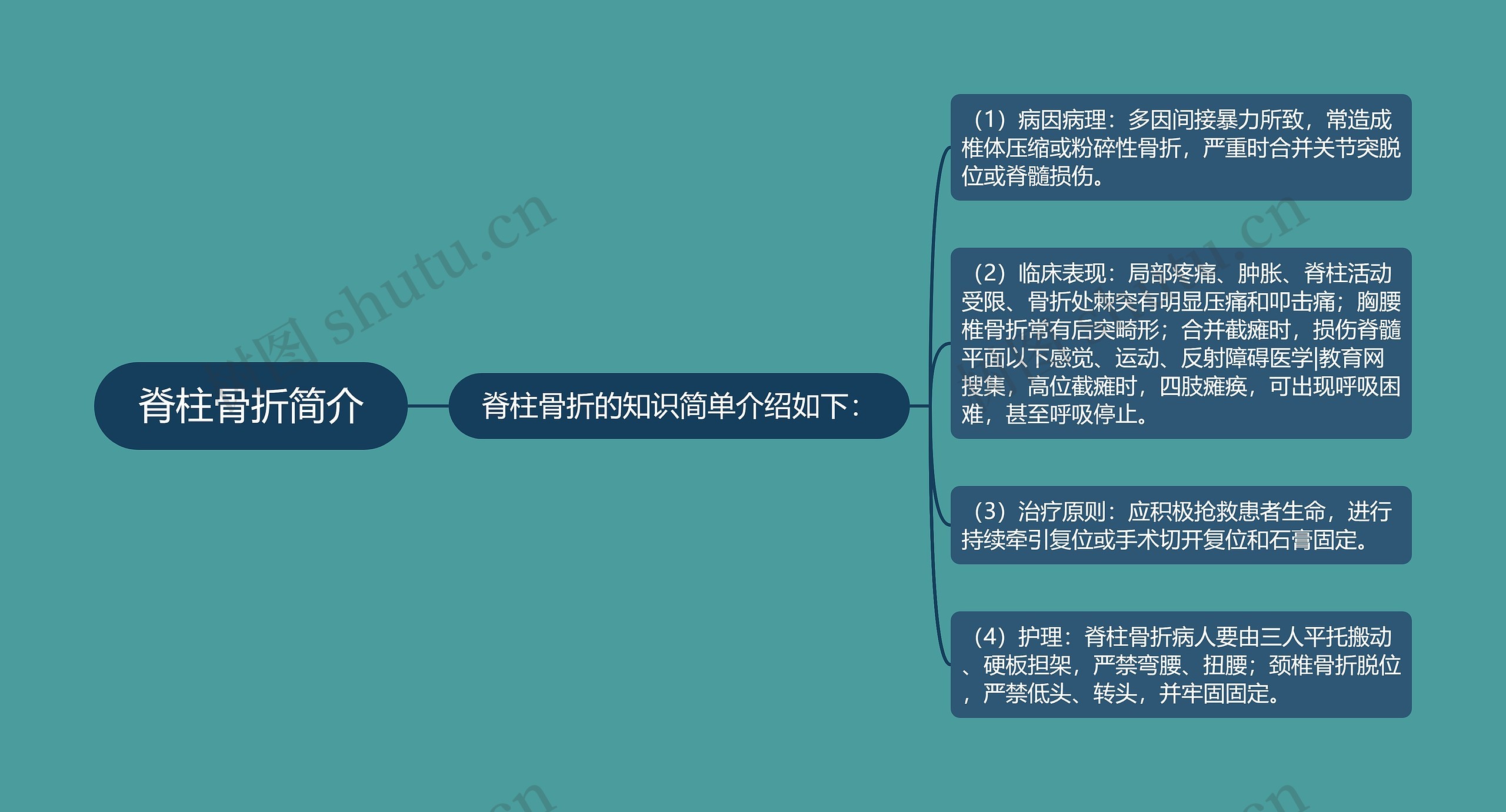 脊柱骨折简介思维导图