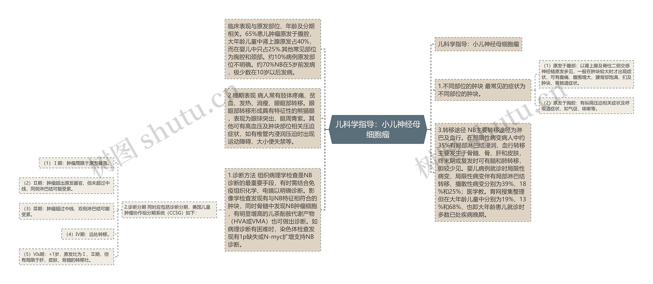 儿科学指导：小儿神经母细胞瘤思维导图